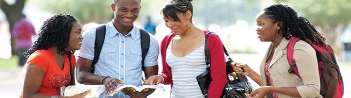 Careers and Opportunities Banner